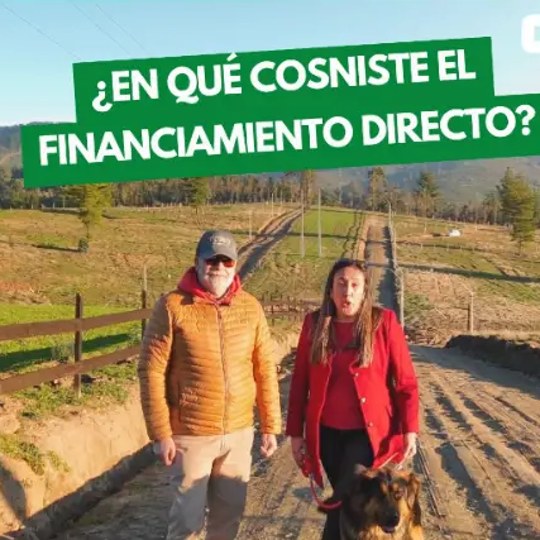 Publicación: ¿En qué consiste el financiamiento directo?
